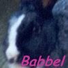 Babbel