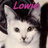 Lowie